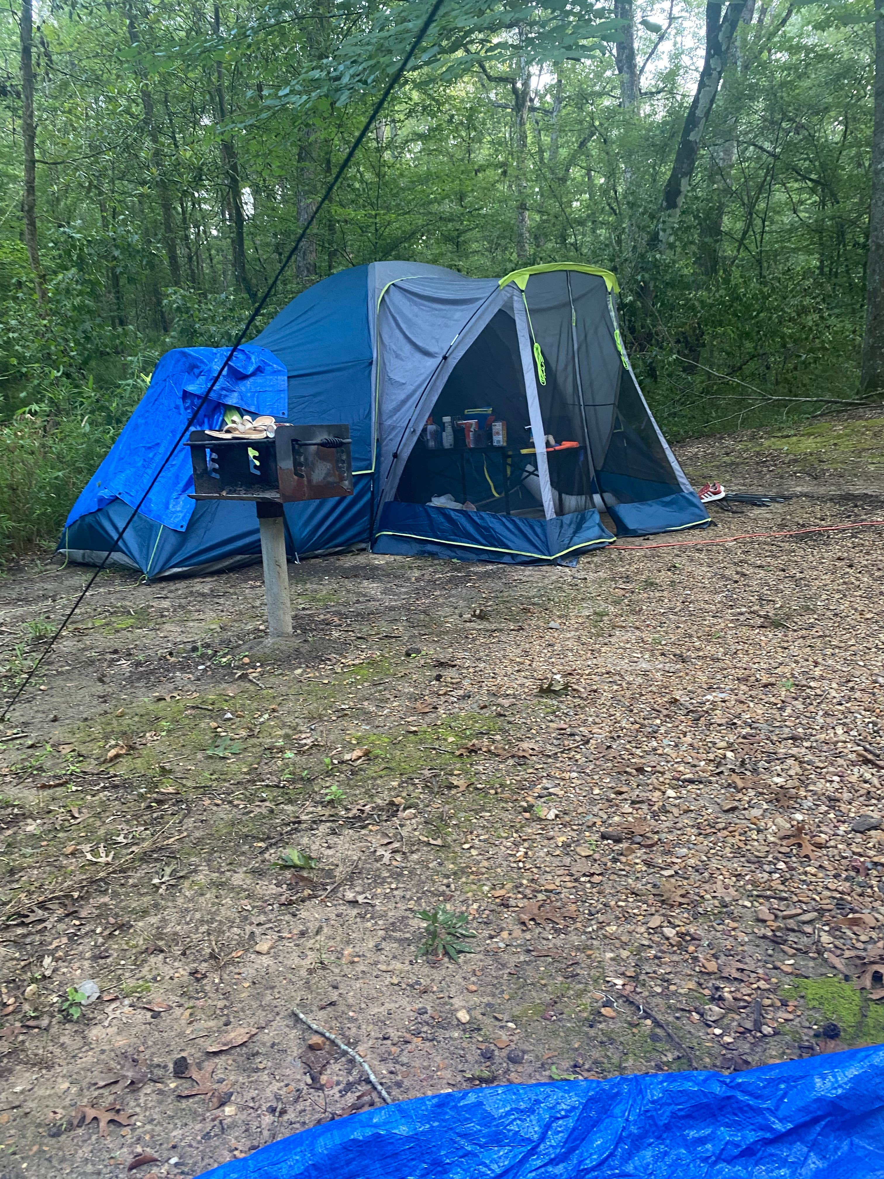 Katherine K.'s photo at South Campground — Chicot State Park near Kisatchie National Forest