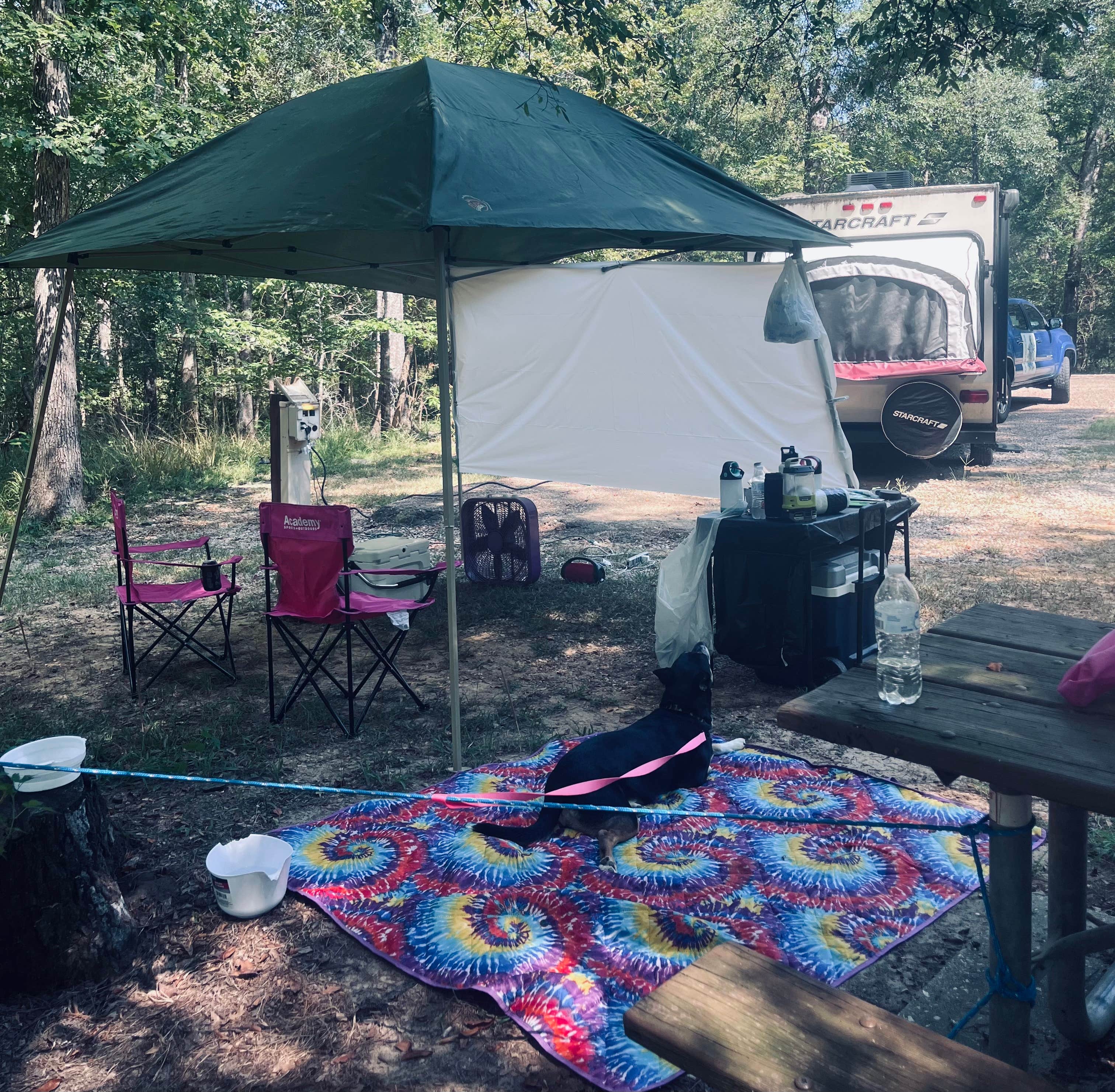 Jenn P.'s photo of camping with pets at South Campground — Chicot State Park near Pineville, LA