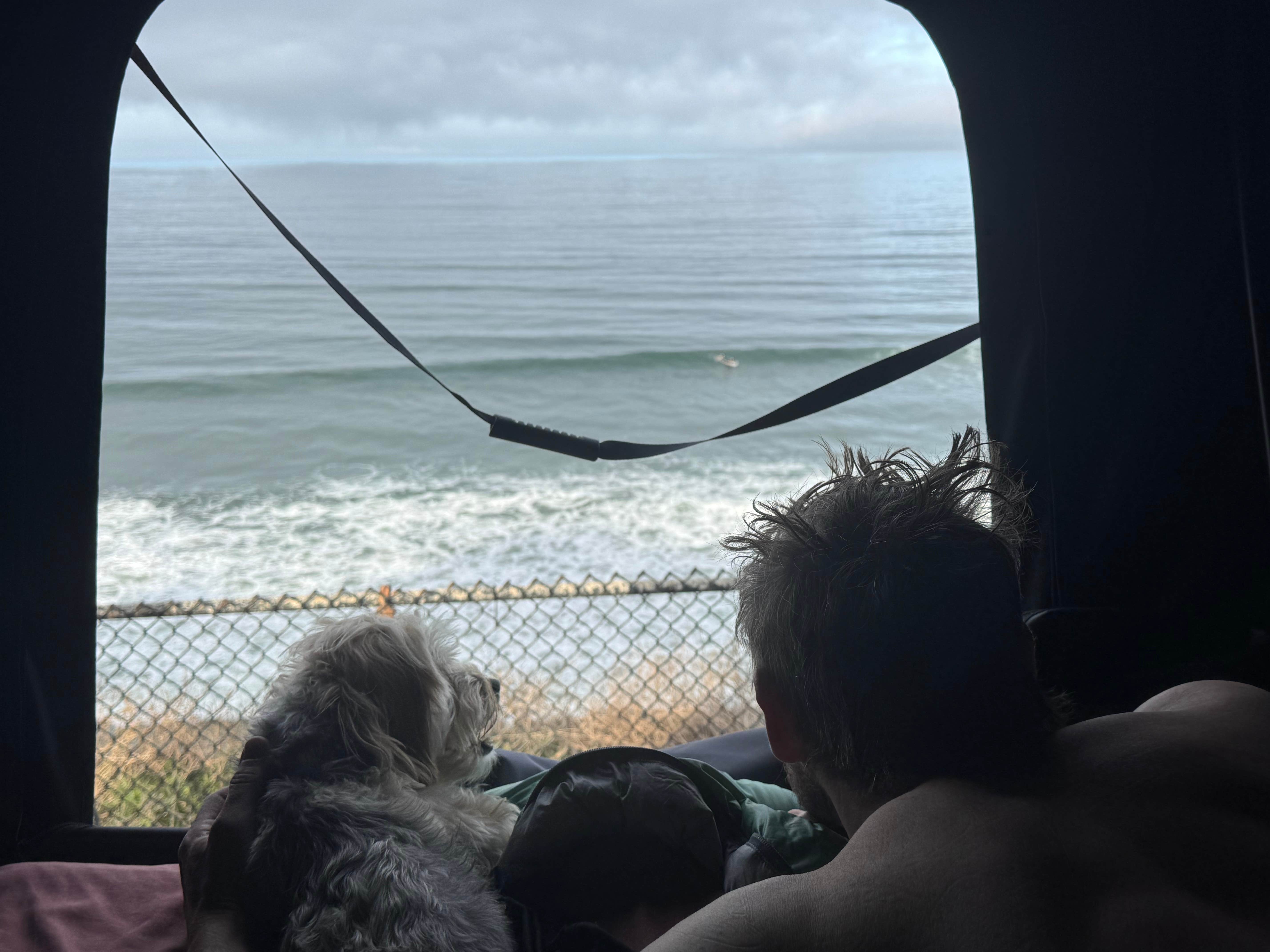 Aaron B.'s photo of camping with pets at South Carlsbad State Beach Campground in California