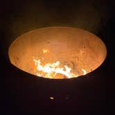 Review photo of South Carlsbad State Beach Campground by Kelly C., March 19, 2026