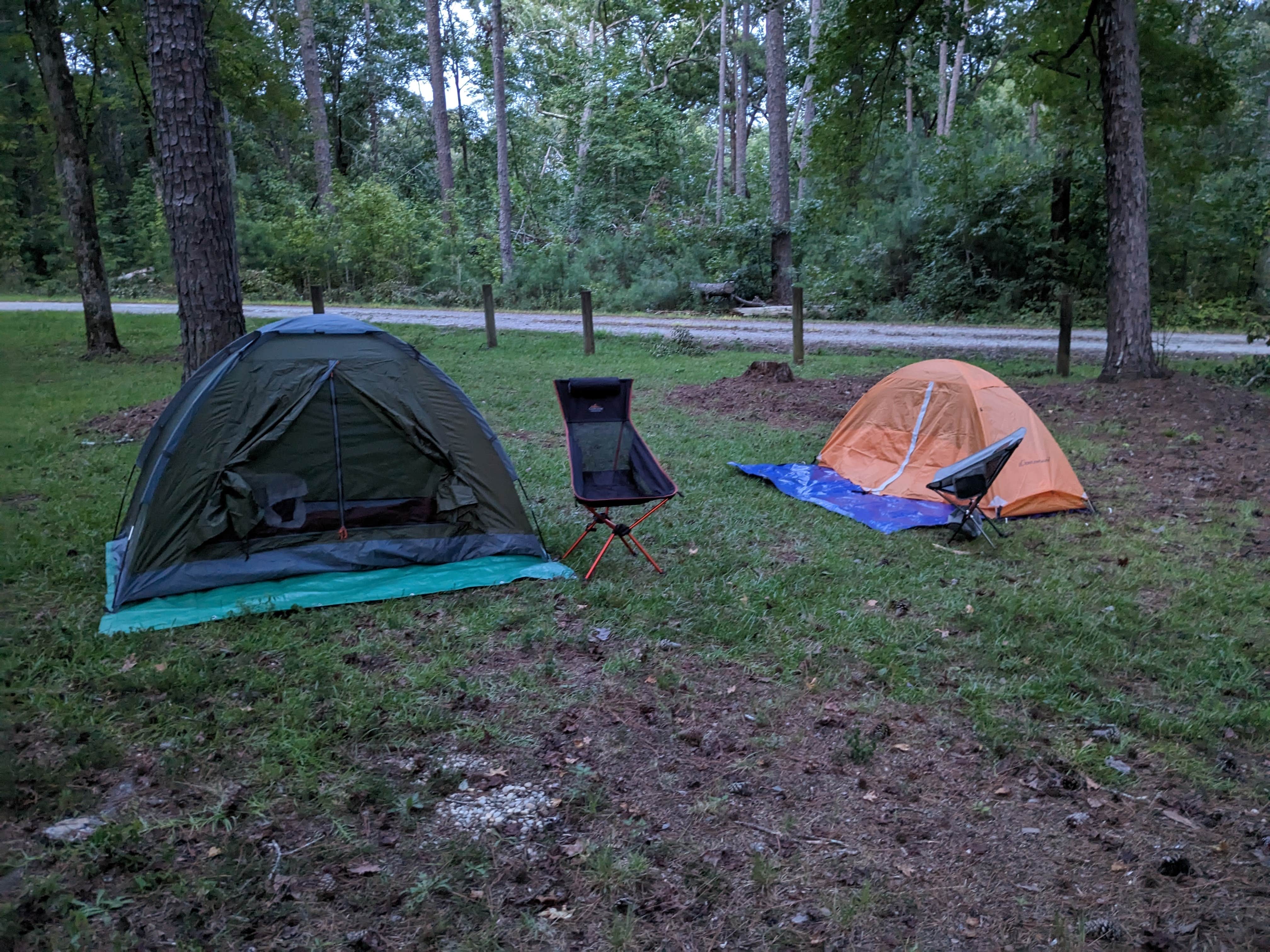 Mike W.'s photo at Brick House Campground (Sc) — Francis Marion And Sumter National Forests near Kinards, SC