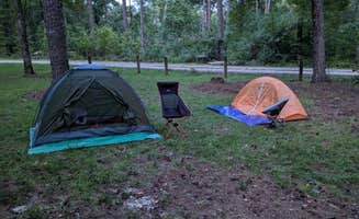 Mike W.'s photo at Brick House Campground (Sc) — Francis Marion And Sumter National Forests near Greenwood, SC