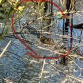 Review photo of Buck Hall Recreation Area by Lisa M., September 21, 2025