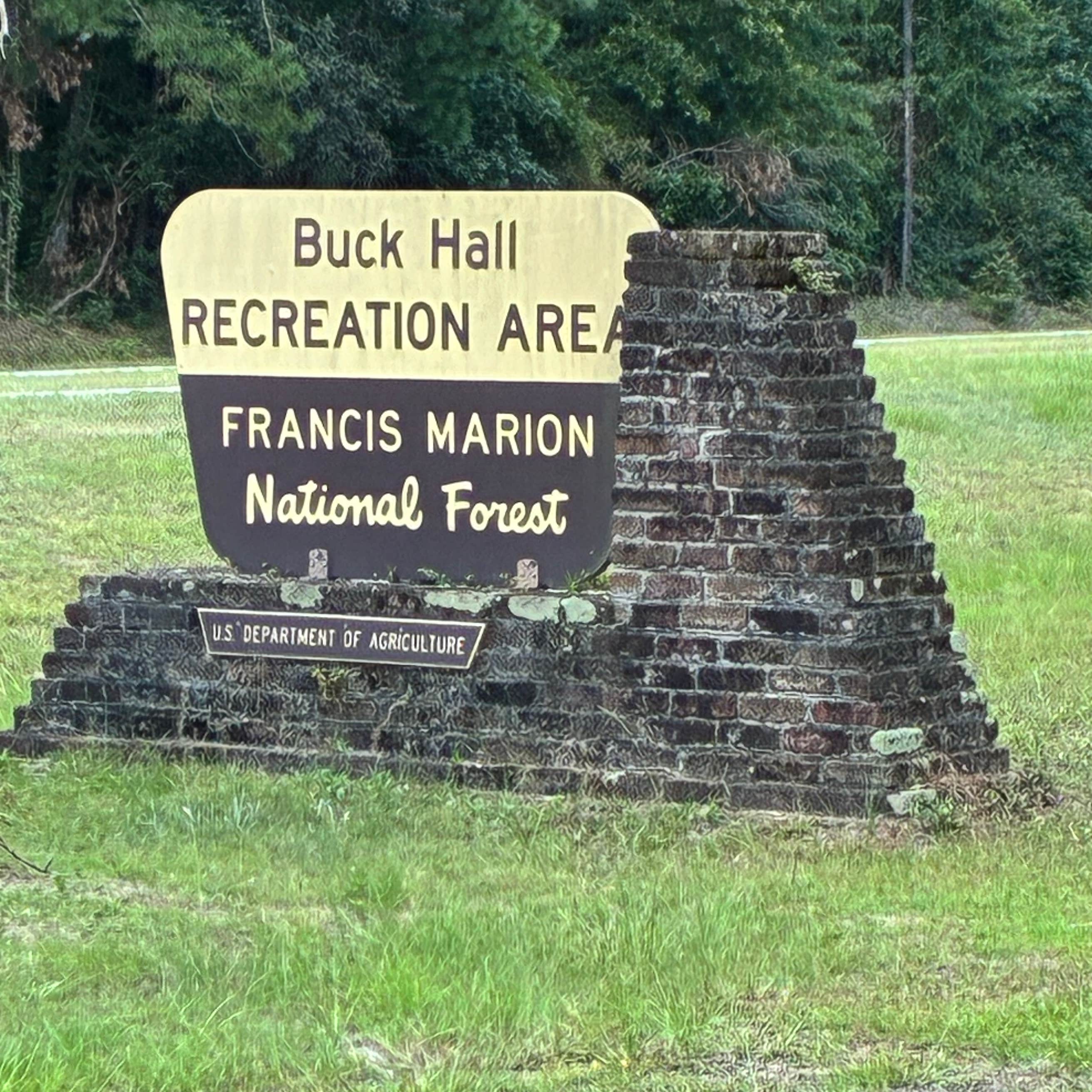 Buck Hall Recreation Area Camping | McClellanville, South Carolina