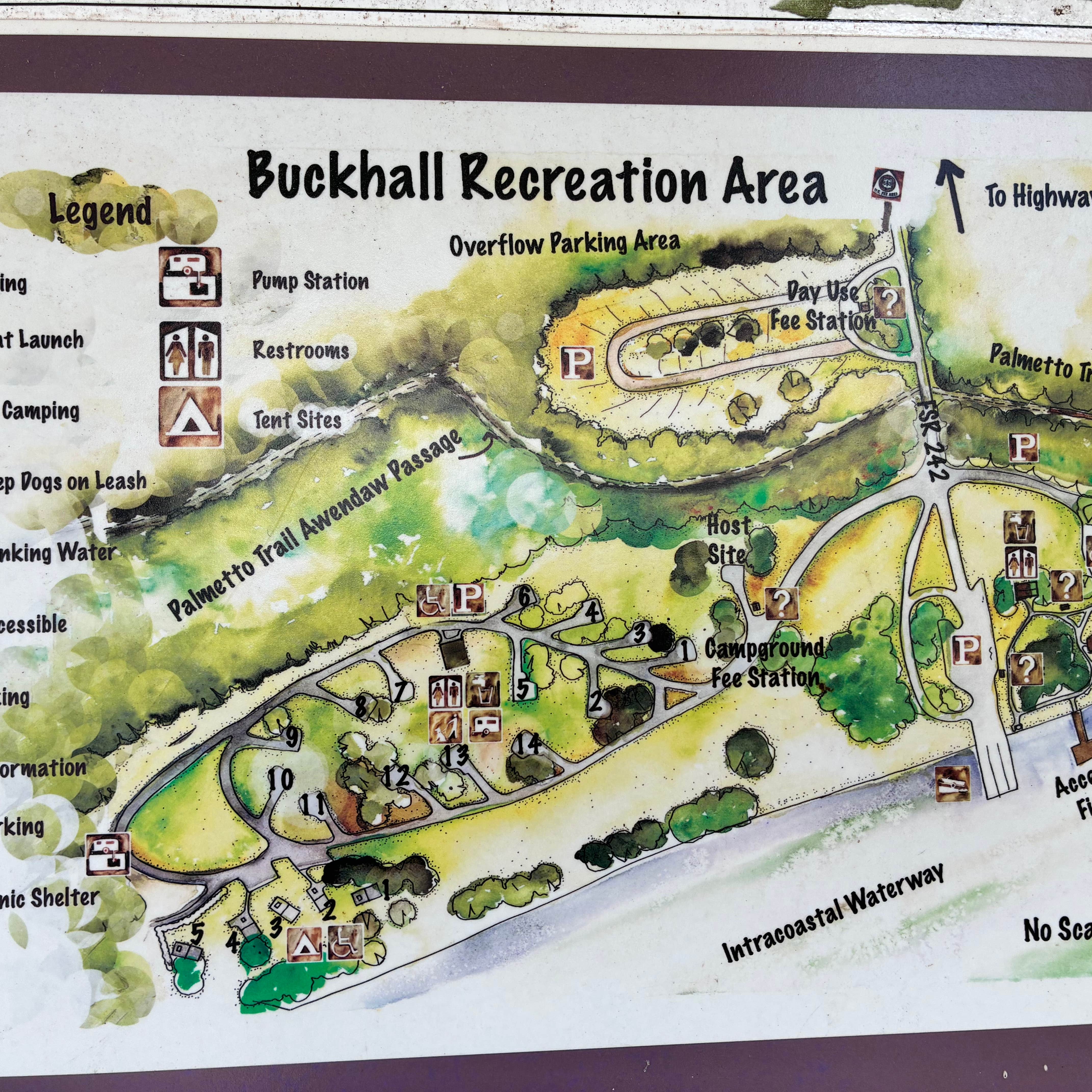 Buck Hall Recreation Area Camping | McClellanville, South Carolina