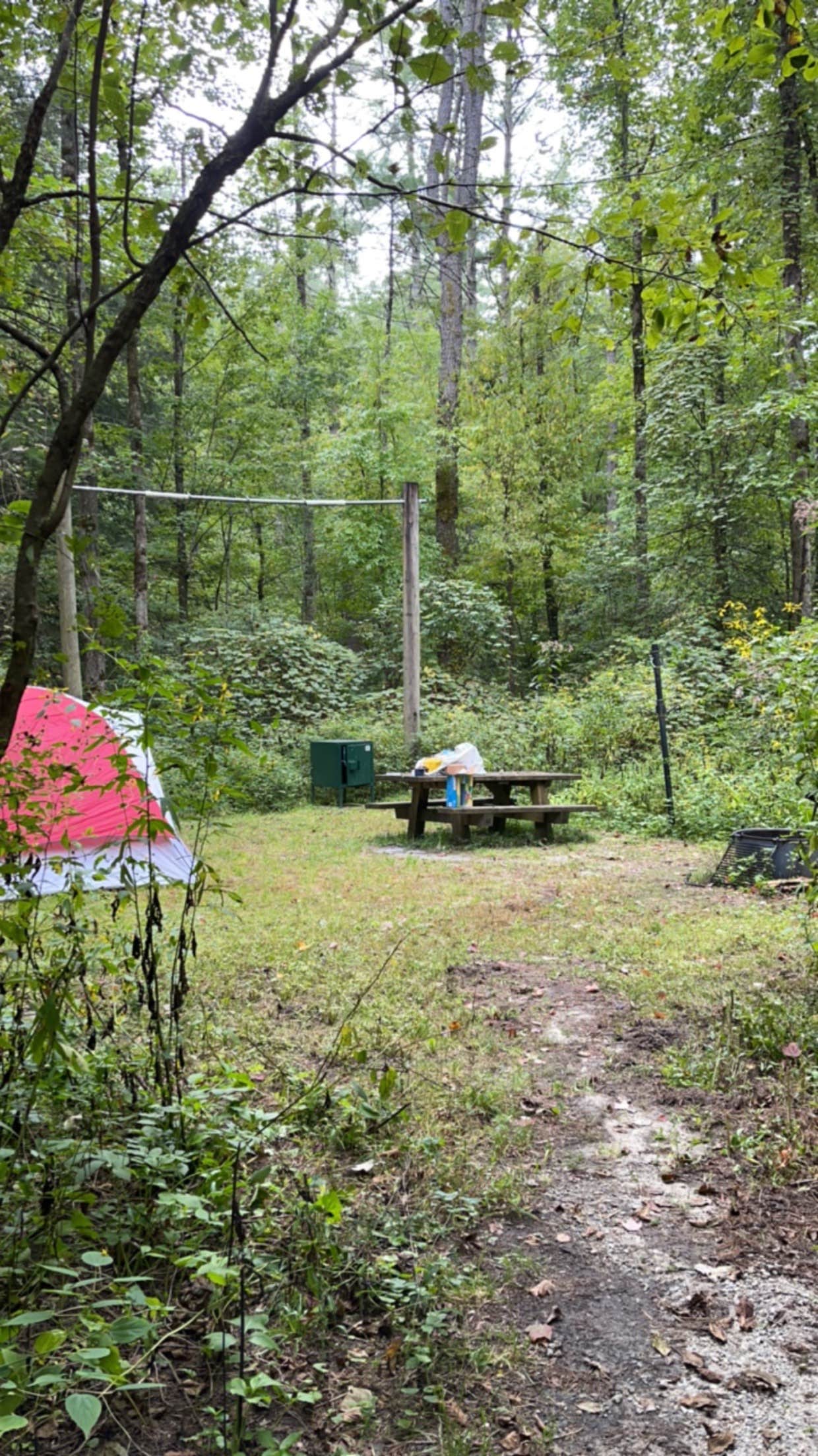 Ashly T.'s photo of tent camping at Burrells Ford near Slater-Marietta, SC