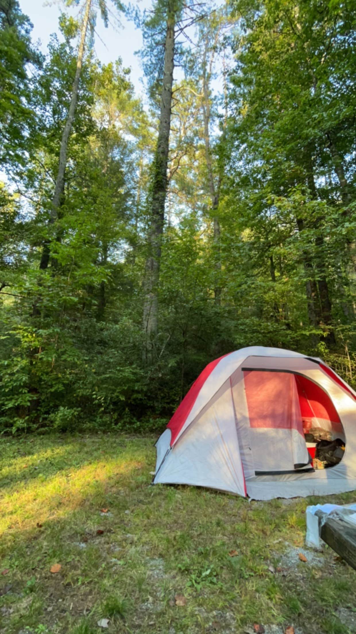 Burrells ford campground best sale