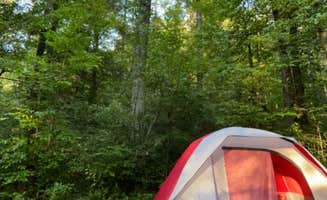 Ashly T.'s photo at Burrells Ford near Tamassee, SC