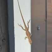 Review photo of Colleton State Park Campground by Breezy V., December 20, 2025