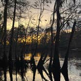 Review photo of Colleton State Park Campground by Breezy V., December 20, 2025