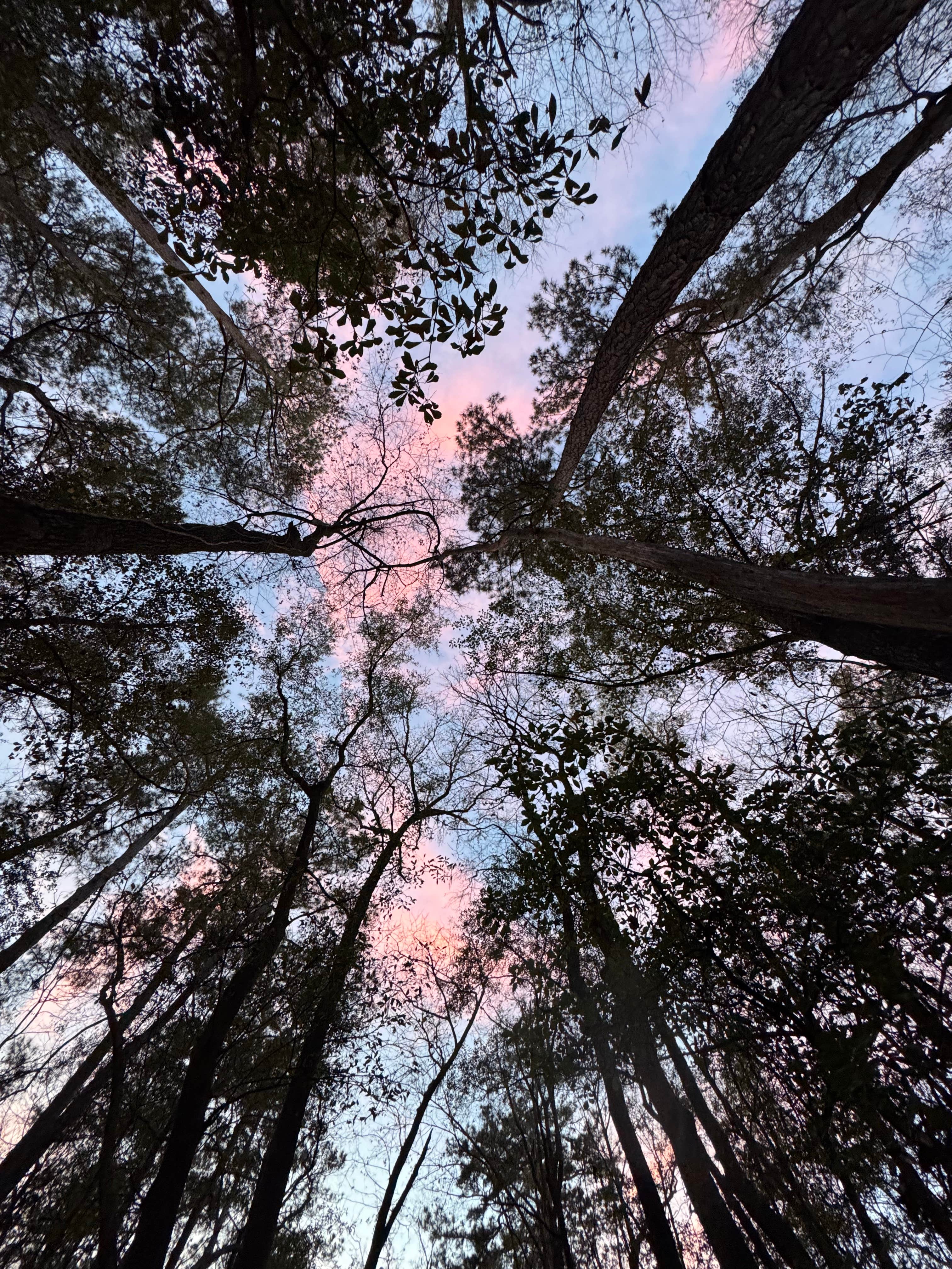 Camper-submitted photo at Colleton State Park Campground near Allendale, SC