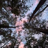 Review photo of Colleton State Park Campground by Breezy V., December 20, 2025