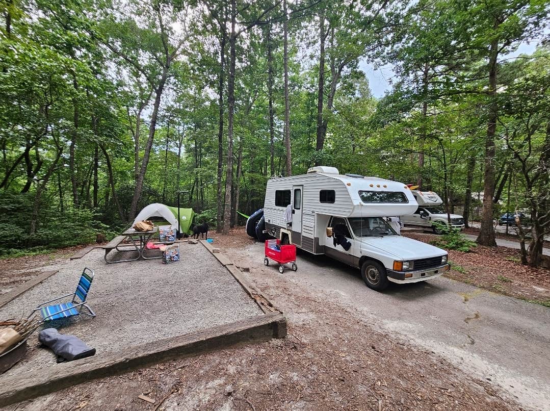 Alexandra E.'s photo of camping with pets at Devils Fork State Park Campground near Easley, SC