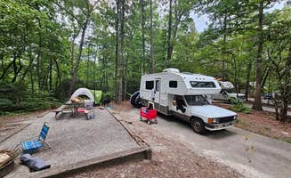 Alexandra E.'s photo of camping with pets at Devils Fork State Park Campground near Seneca, SC