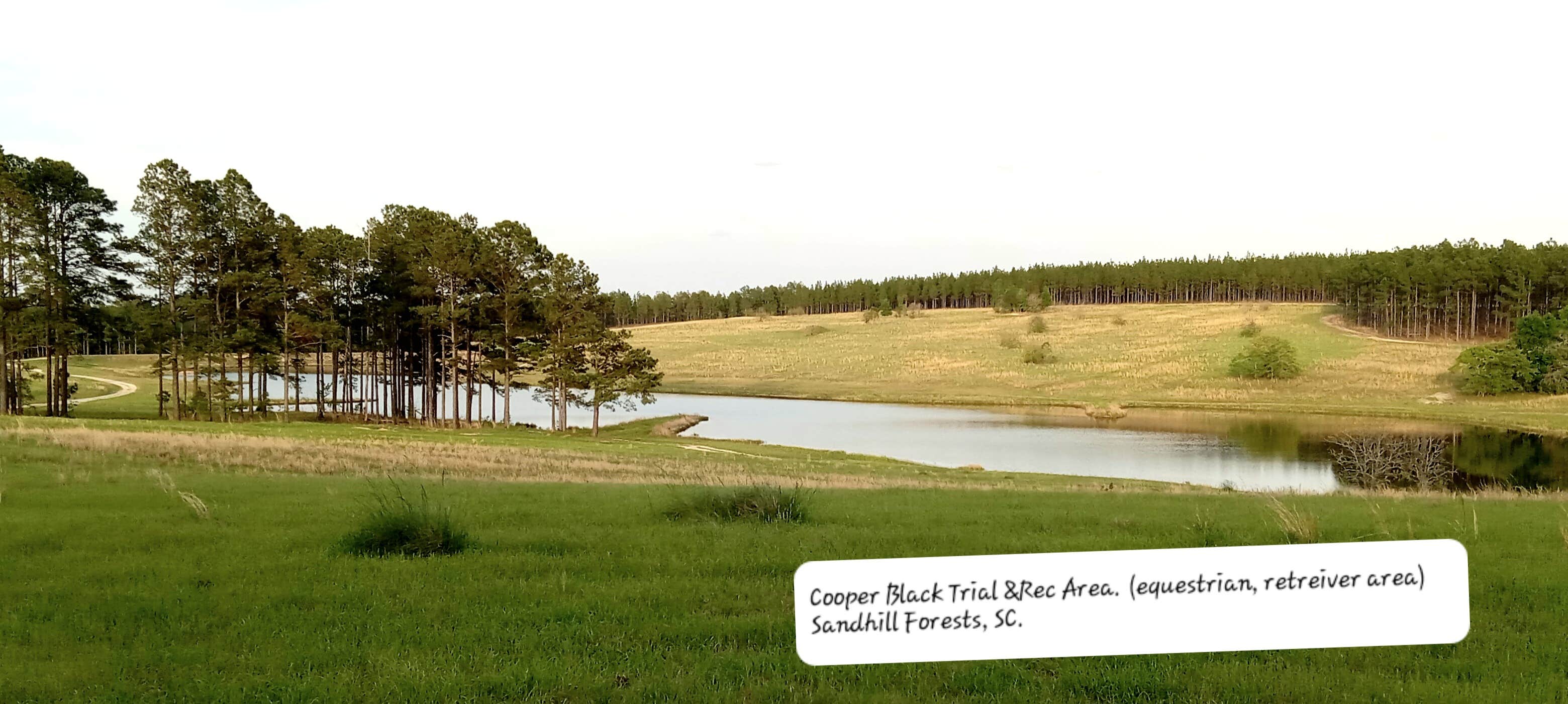 Camper-submitted photo at H. Cooper Black near Darlington, SC