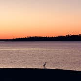 Review photo of Hamilton Branch State Park Campground by Aly V., March 29, 2026