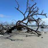 Review photo of Hunting Island State Park Campground by Brenda L., February 4, 2025