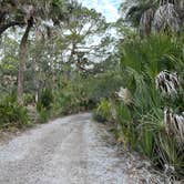 Review photo of Hunting Island State Park Campground by Emily C., March 10, 2024