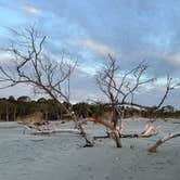 Review photo of Hunting Island State Park Campground by Emily C., March 10, 2024