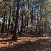 Review photo of Lake Wateree State Park Campground by Helena B., November 21, 2025
