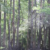 Review photo of Lynches River County Park by Graceanne S., April 19, 2026