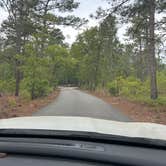 Review photo of Lynches River County Park by Graceanne S., April 19, 2026