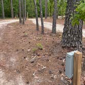 Review photo of Lynches River County Park by Graceanne S., April 19, 2026