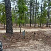 Review photo of Lynches River County Park by Graceanne S., April 19, 2026