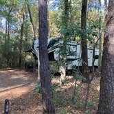 Review photo of Myrtle Beach State Park Campground by Roger W., November 22, 2023