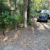 Review photo of Myrtle Beach State Park Campground by Roger W., November 22, 2023