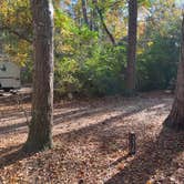 Review photo of Myrtle Beach State Park Campground by Roger W., November 22, 2023