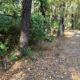 Review photo of Myrtle Beach State Park Campground by Roger W., November 22, 2023