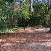 Review photo of Myrtle Beach State Park Campground by Roger W., November 22, 2023