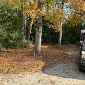 Review photo of Myrtle Beach State Park Campground by Roger W., November 22, 2023