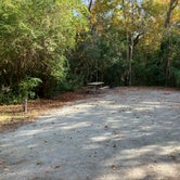 Review photo of Myrtle Beach State Park Campground by Roger W., November 22, 2023