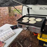 Review photo of Paris Mountain State Park Campground by Matt R., June 15, 2025