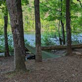 Review photo of Paris Mountain State Park Campground by Bryan M., May 2, 2024