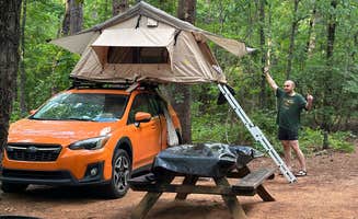 Alisa H.'s photo at Poinsett State Park Campground near Timmonsville, SC