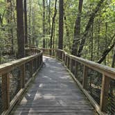 Review photo of Sesquicentennial State Park Campground by Clean Slate D., August 1, 2025