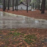 Review photo of Sesquicentennial State Park Campground by Clean Slate D., August 1, 2025