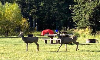 Camping near Crystal Park Campground: Beaver Creek, Newcastle, South Dakota