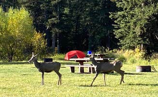 Audrey F.'s photo at Beaver Creek near Newcastle, WY