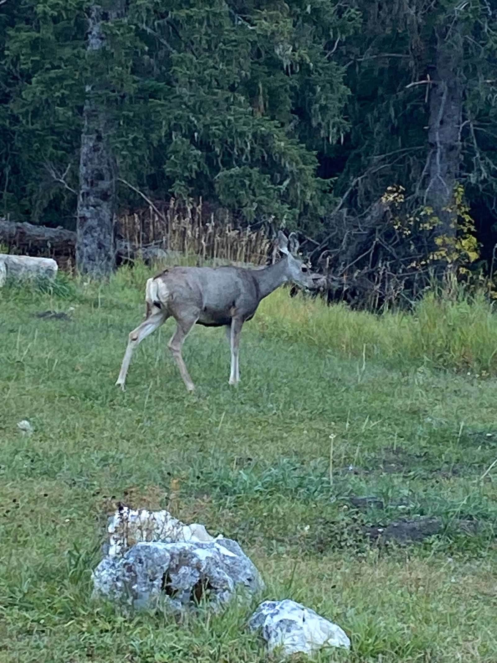 Camper-submitted photo at Beaver Creek near Newcastle, WY