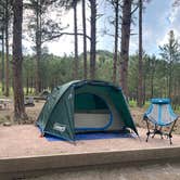 Review photo of Blue Bell Campground — Custer State Park by Amy G., July 3, 2026