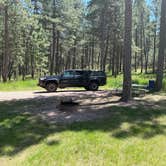 Review photo of Blue Bell Campground — Custer State Park by Tyler M., June 15, 2025