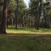 Review photo of Blue Bell Campground — Custer State Park by Jon J., July 11, 2025
