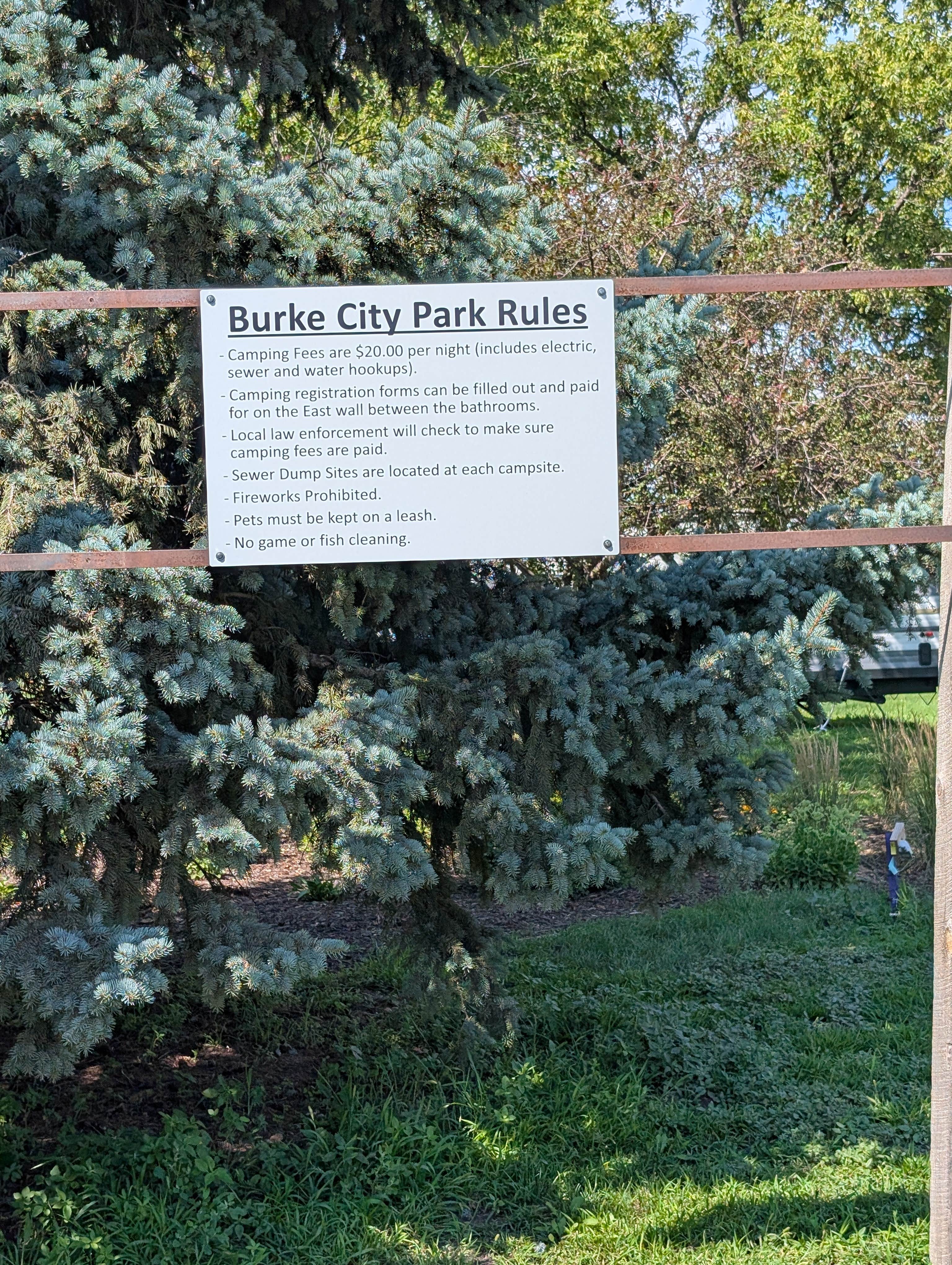 Camper submitted image from Burke City Park - 1