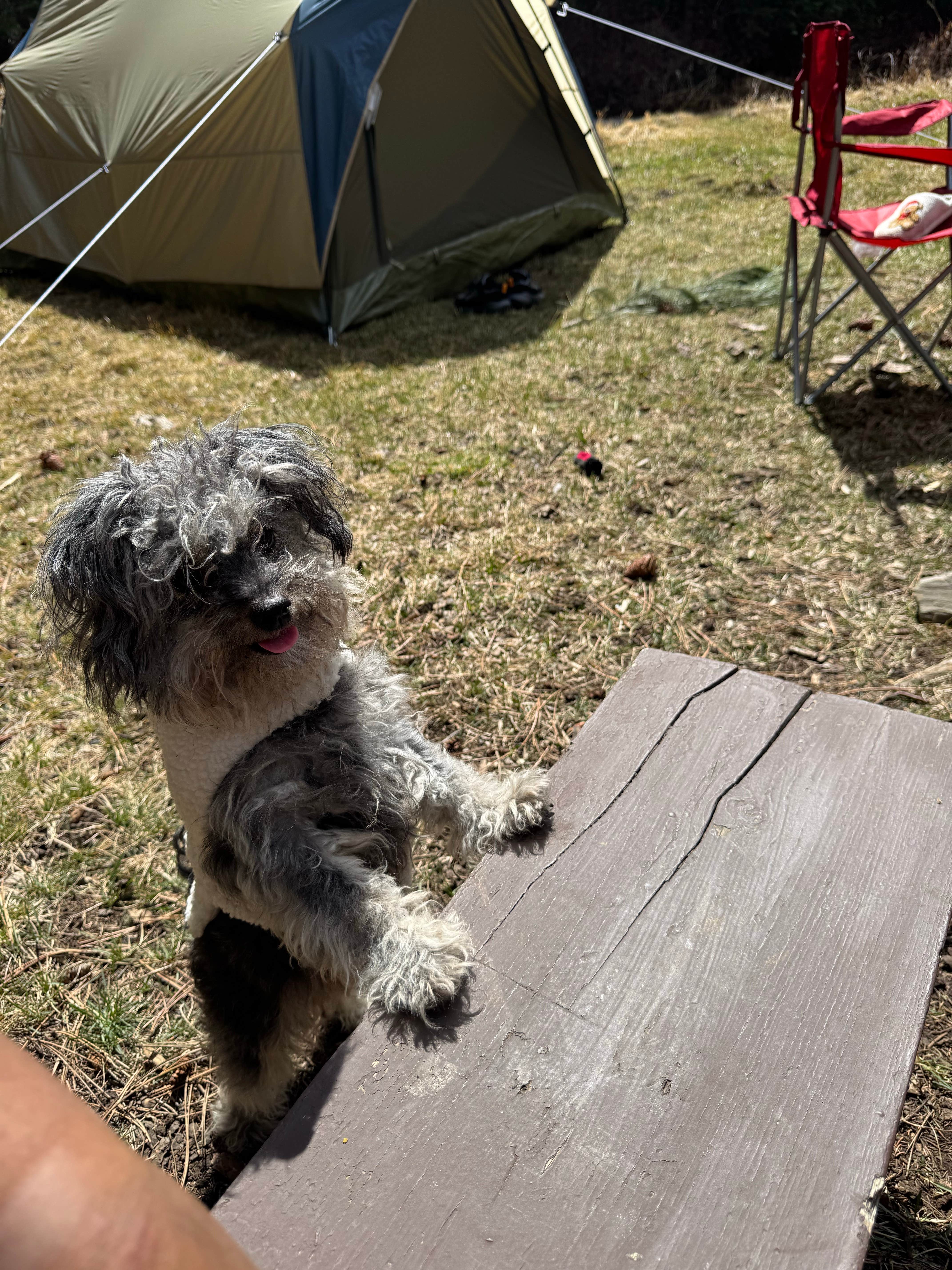 Camping near Black Fox Campground: Castle Peak, Black Hills National Forest, South Dakota