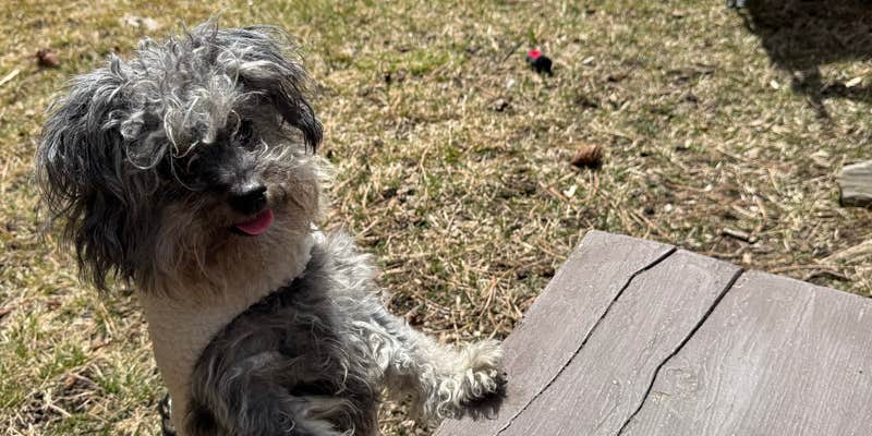 Camper submitted image from Castle Peak