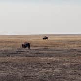 Review photo of Cedar Pass Campground — Badlands National Park by Lisa M., October 11, 2024